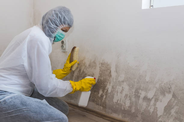 Best Crawl Space Mold Removal  in Lavon, TX