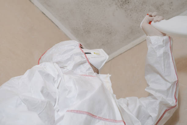 Best Fast Mold Removal  in Lavon, TX