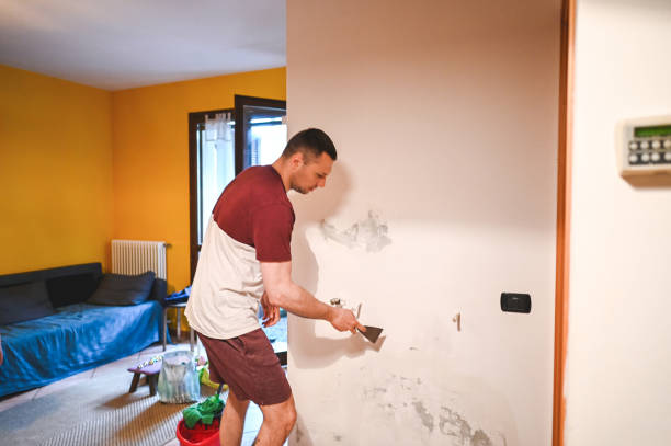 Best Black Mold Removal  in Lavon, TX
