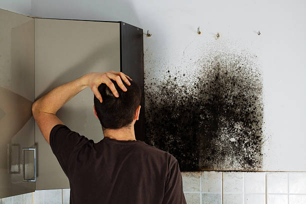 Best Professional Mold Removal  in Lavon, TX
